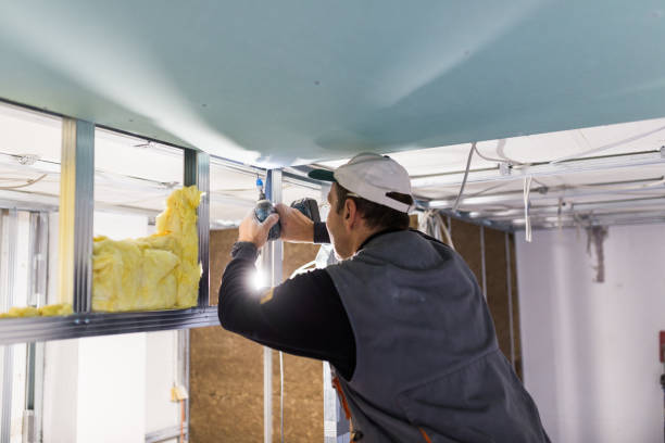 Best Garage Insulation Installation  in Valley Hill, NC
