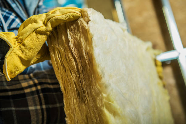 Best Insulation Removal  in Valley Hill, NC