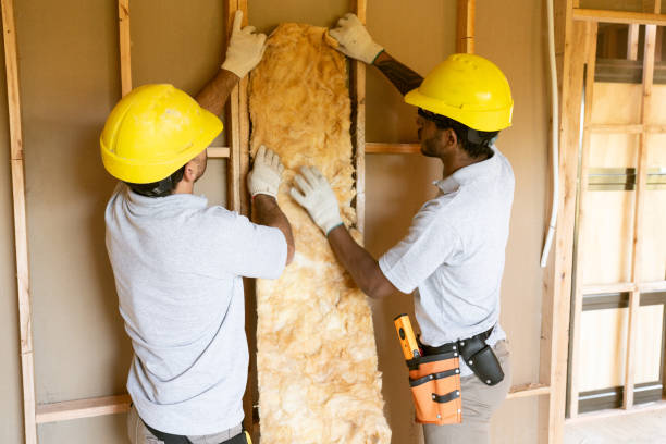 Best Insulation Contractors for Homes  in Valley Hill, NC