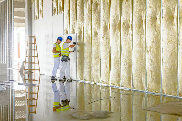 Best Insulation Inspection Services  in Valley Hill, NC
